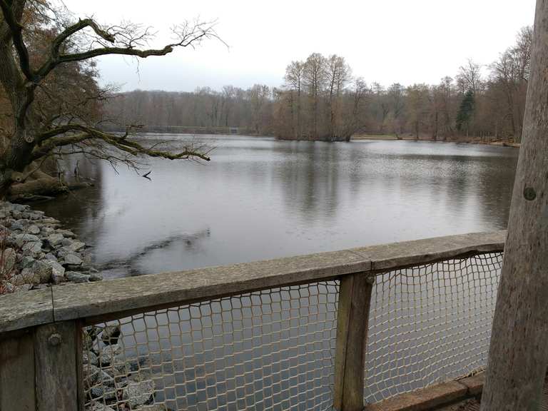 Freizeitpark Oberwaldhaus am Steinbrücker Teich Routes for Walking and