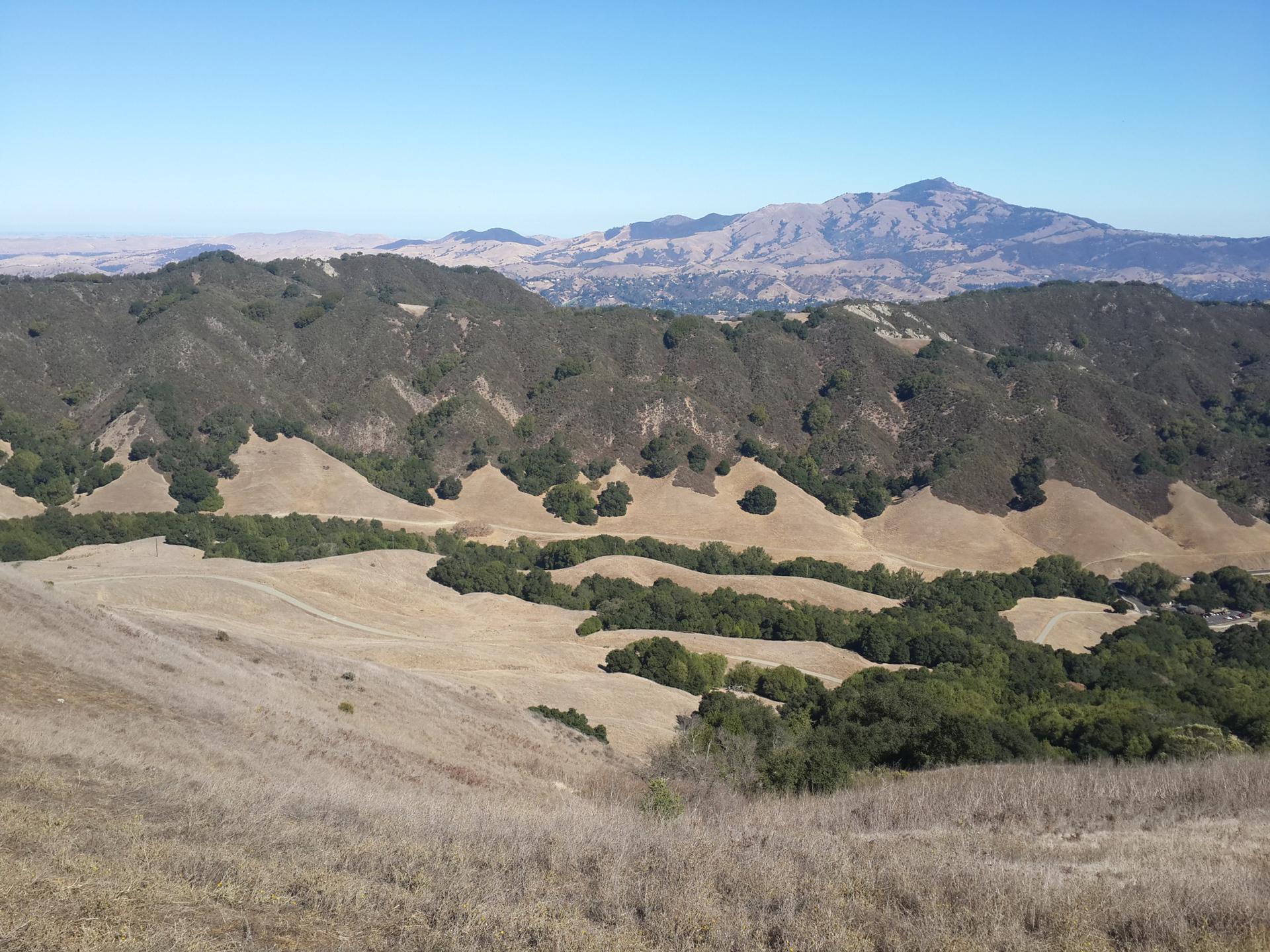 Sunny view of dry rolling hills with green trees and distant mountains.