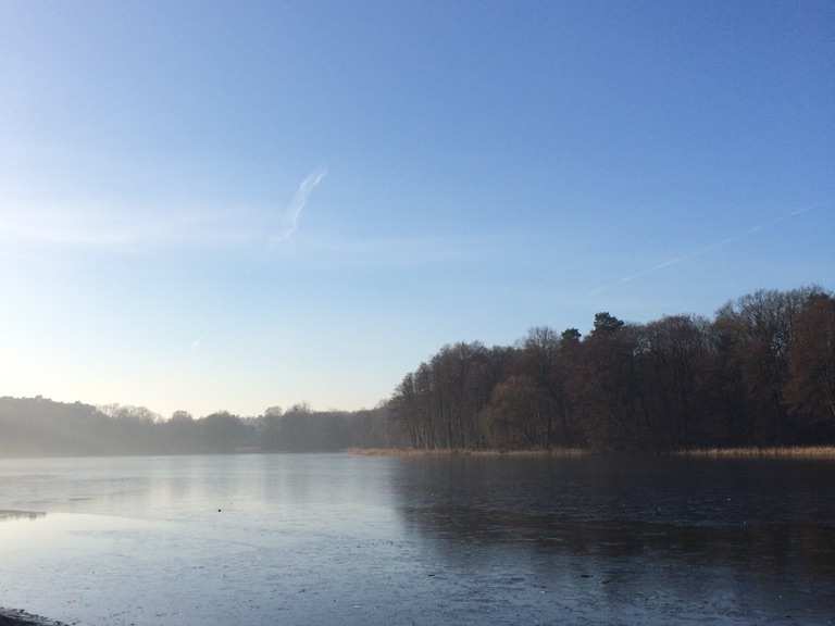 grunewaldsee hunde