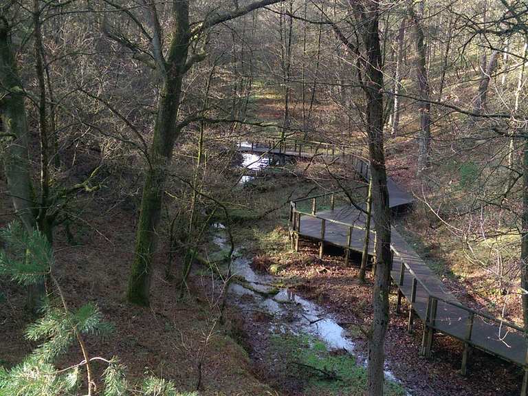 Emsquellen Radtouren und Radwege komoot