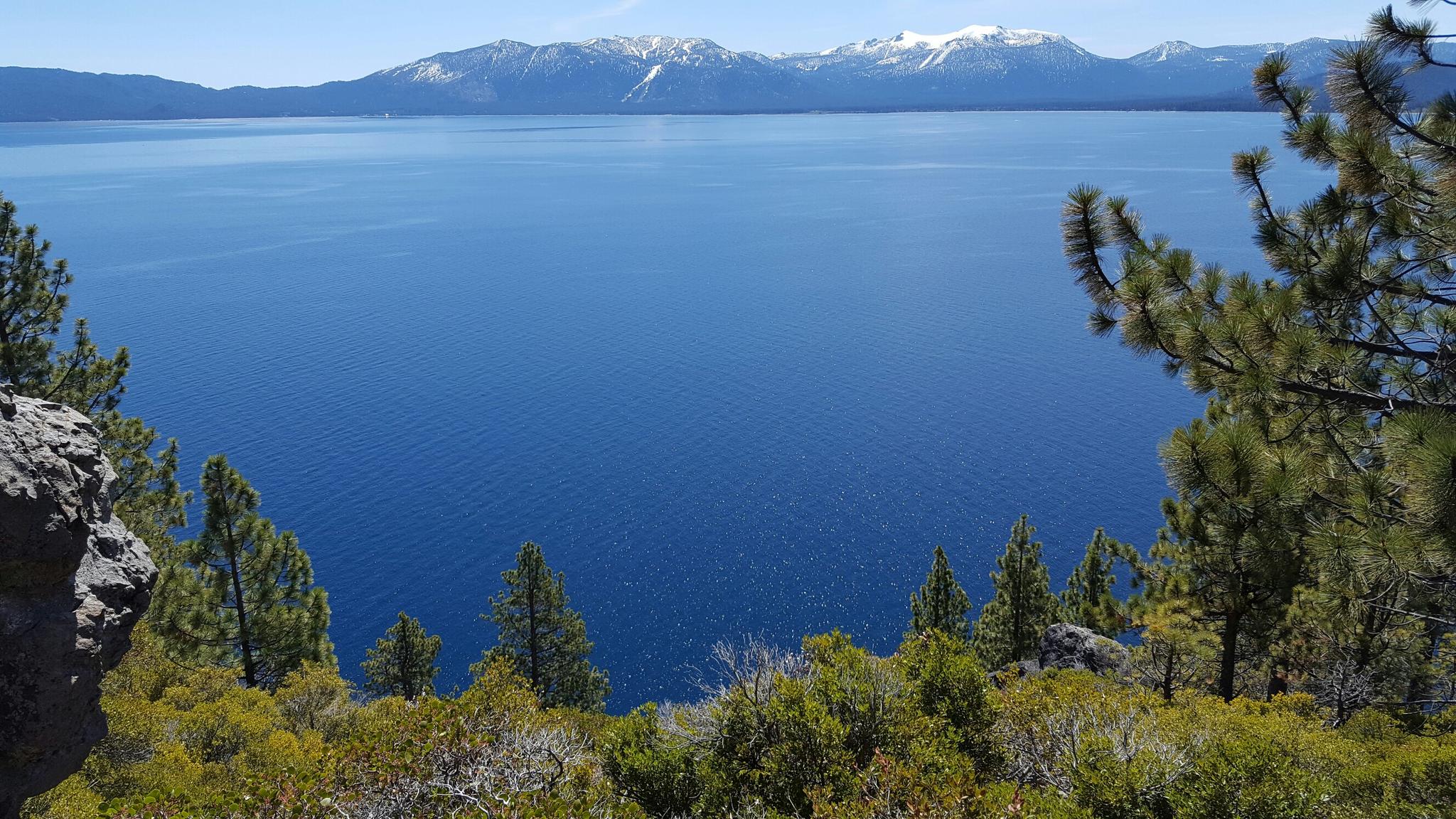 Expansive blue lake framed by green trees, with snow-capped mountains.