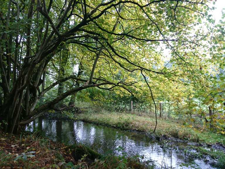 Effelder Waldsee - Wassenberg, Heinsberg | Wandertipps ...