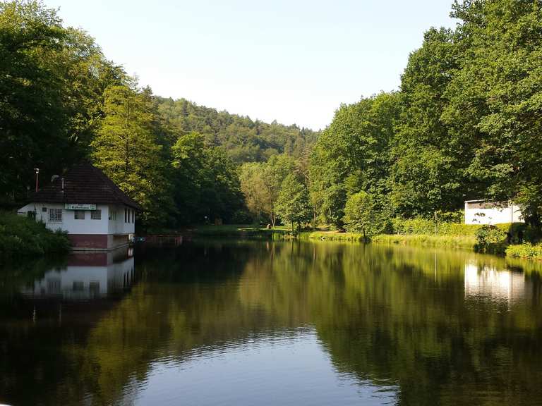 Der Bärlochweiher Vogelwoog Runde von Kaiserslautern Hauptbahnhof