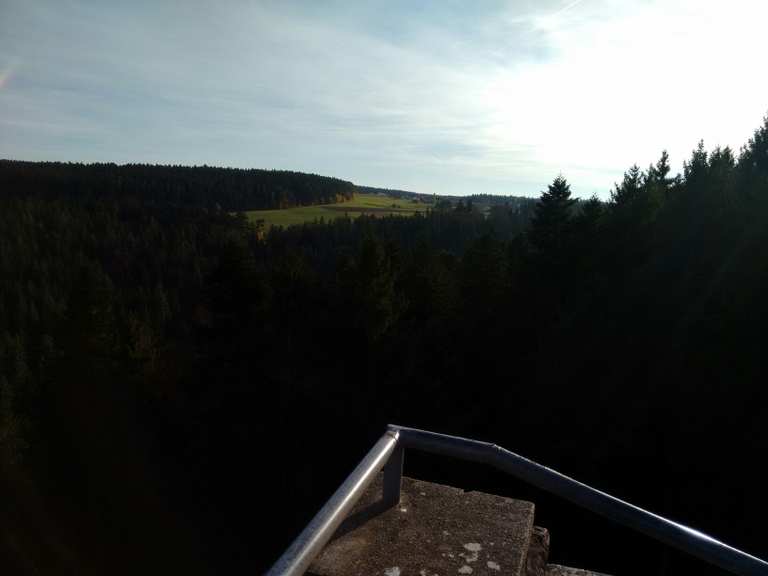 Ruine Mandelberg - Pfalzgrafenweiler, Freudenstadt | Wandertipps