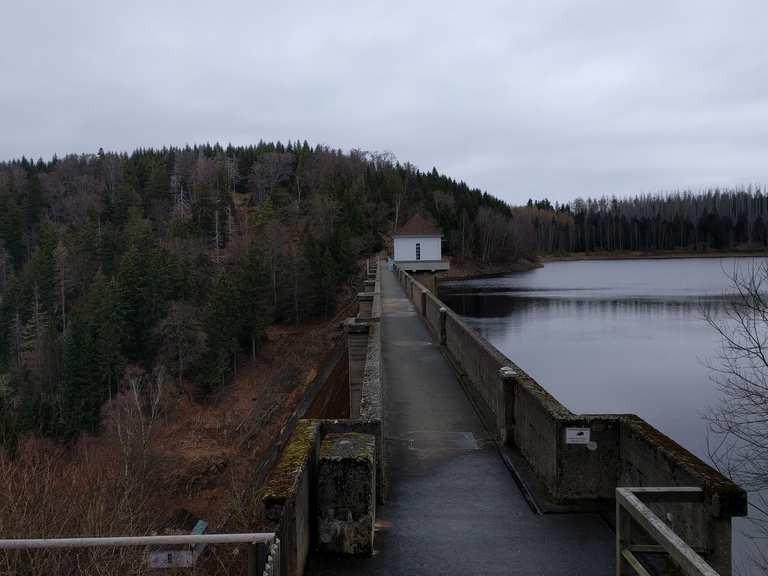 Eckertalsperre Harz, Deutschland Mountainbiketipps & Fotos Komoot