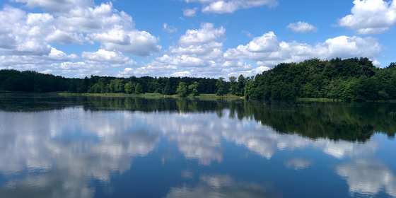 Durch die Blumberger Fischteiche