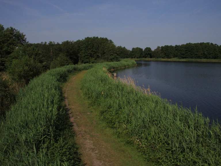 Meißendorfer Moor Radtouren und Radwege komoot