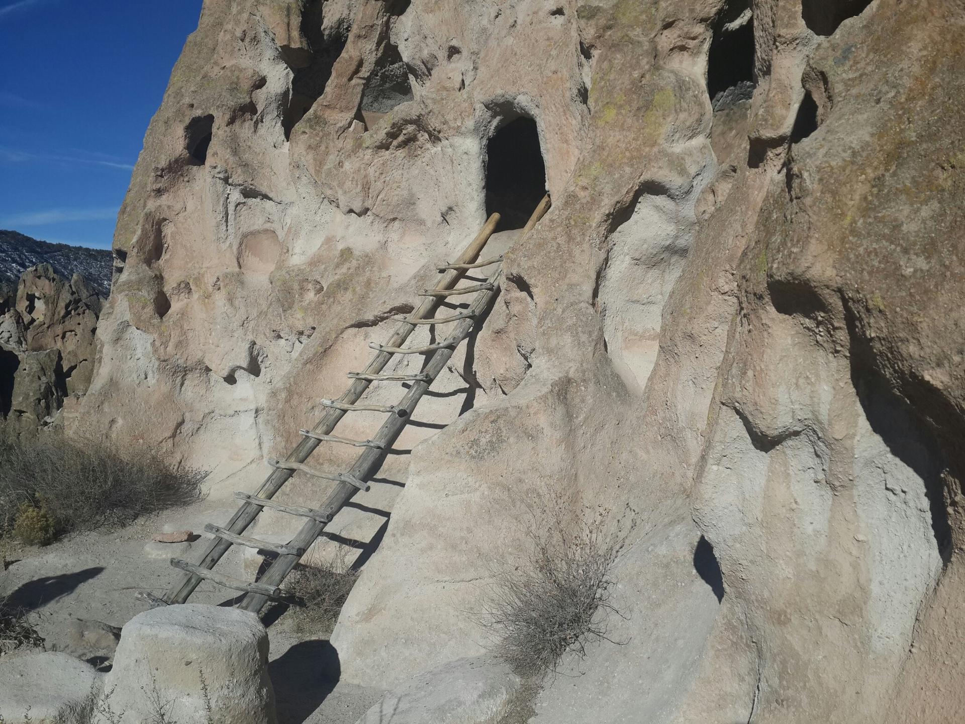 A long wooden ladder leans against a sunlit rock cliff with cave openings.