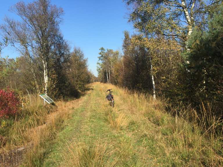 Aussichtsplattform im Moor: Wanderungen und Rundwege | komoot