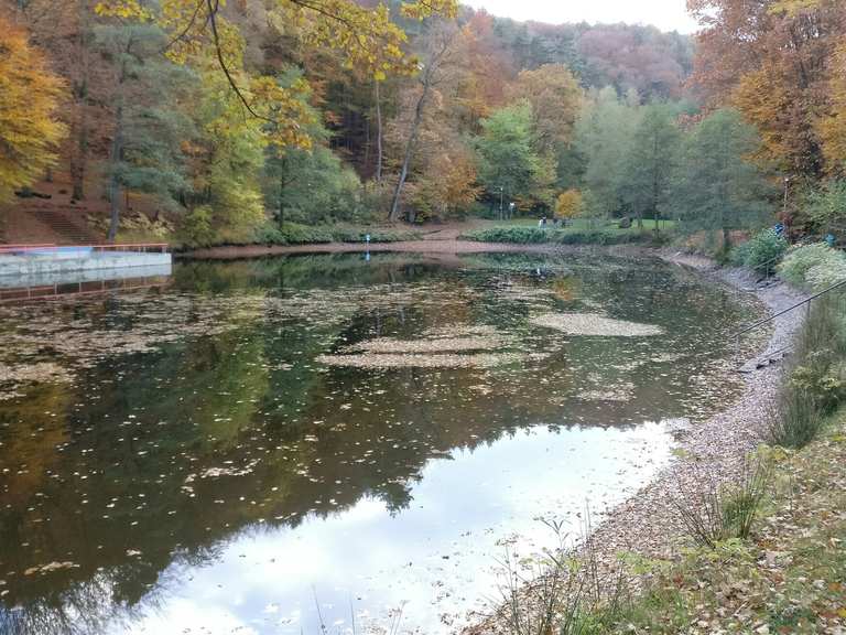 Bärenlochweiher Wanderungen und Rundwege komoot