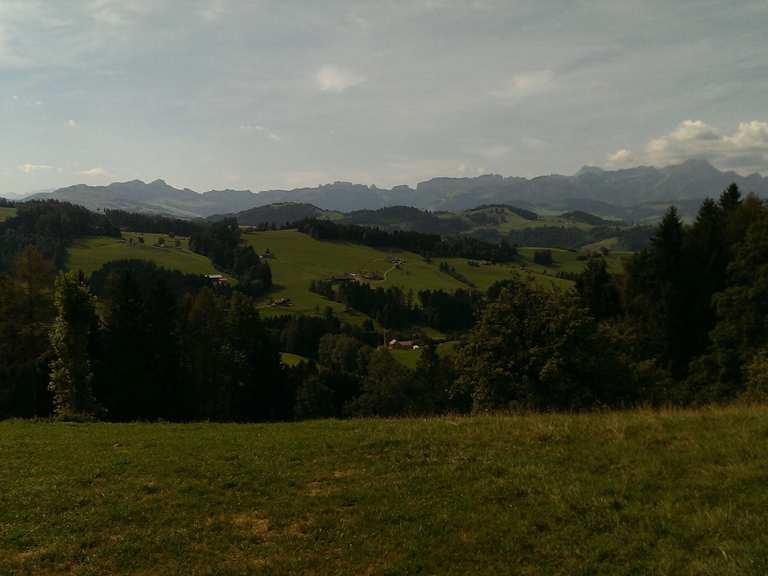 Erlebnisort Waldegg Routes for Walking and Hiking | Komoot