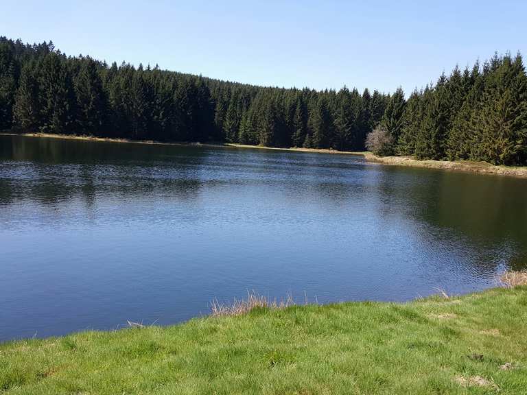 Oberer Hahnebalzer Teich Harz, Deutschland Wandertipps & Fotos Komoot