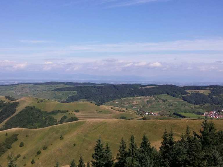 Eichelspitze MountainbikeTouren und Trails komoot