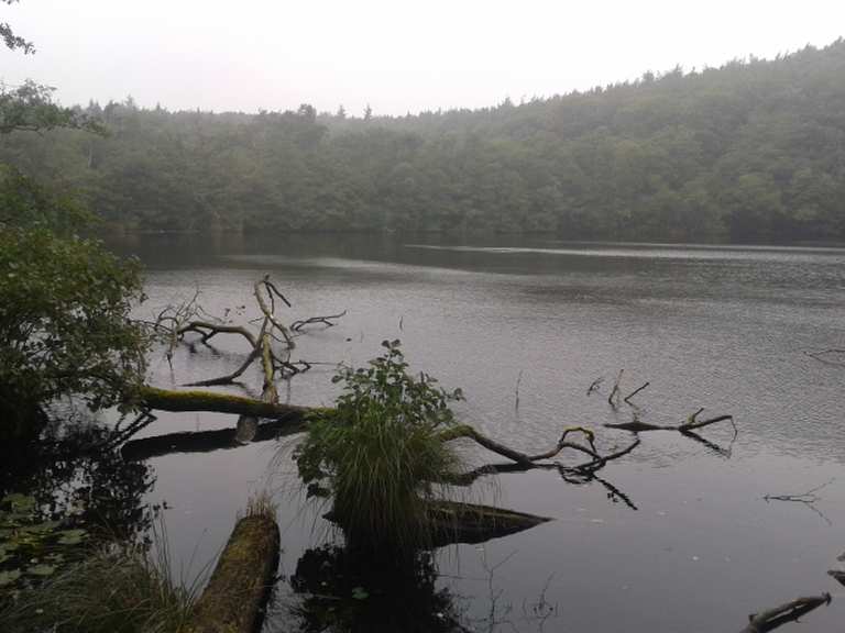 Herthasee Sassnitz Rugen Wandertipps Fotos Komoot