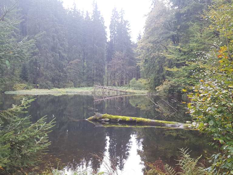 Knöpfelstaler Teich percorsi escursionistici e trekking Komoot