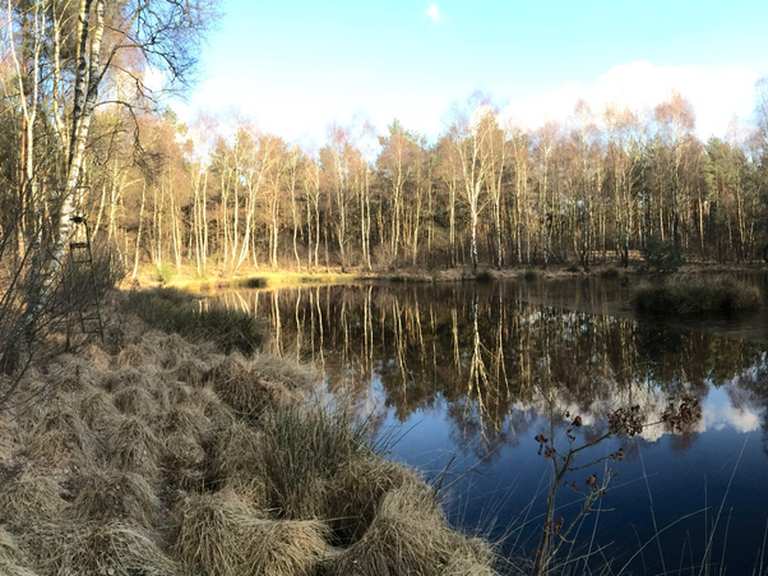 Kleiner See im Wald Wanderungen und Rundwege komoot