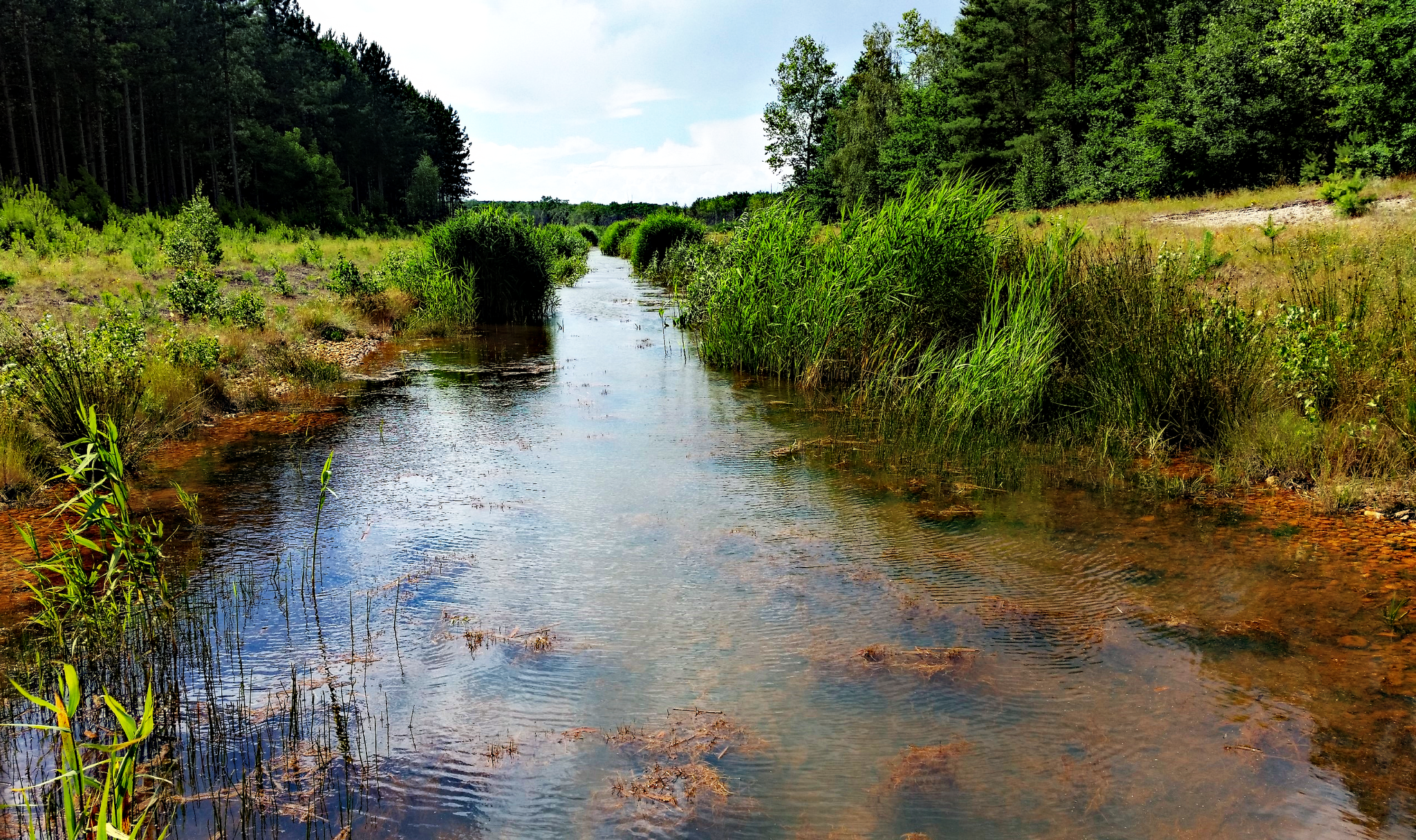 0?width=320&height=180&crop=true&q=70 Radverleih D&uuml;bener Heide &ndash; Neuh&auml;useer See, Petersroda