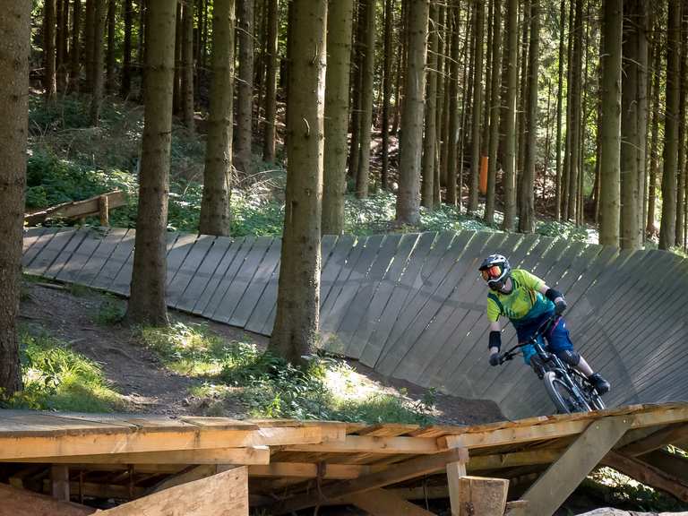 mountainbike hundekorb ANZOME Fahrrad Vorne, Abnehmbar mit Sicherheitsgurt, Damen PDS25 Oberfläche Dose:Shell Verwahrungsvertrag Geld Muster
