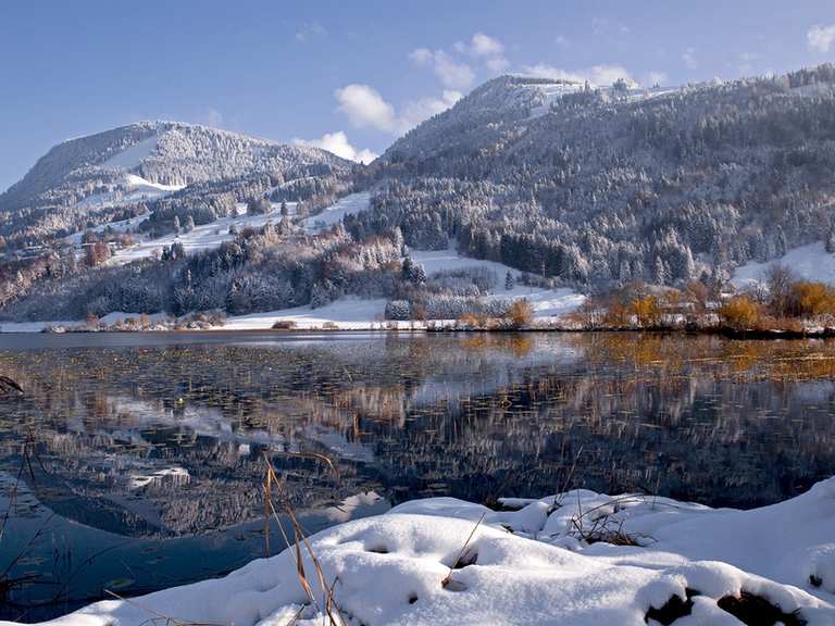 Großer Alpsee bei Immenstadt: Wanderungen und Rundwege | komoot