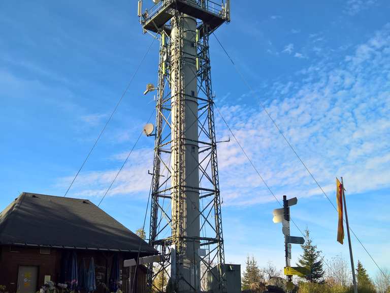 Hochfirstturm und Berggasthaus Hochfirst Wanderungen und Rundwege komoot