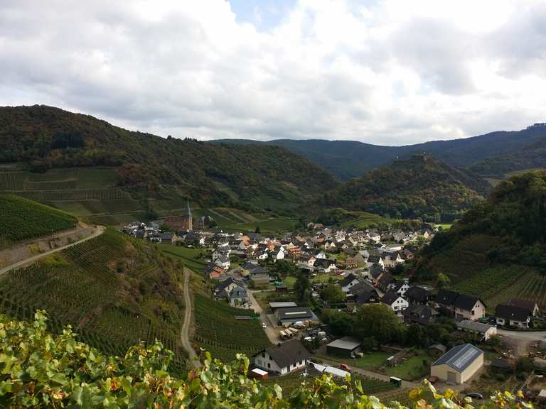 Blick auf Mayschoß: Wanderungen und Rundwege | komoot