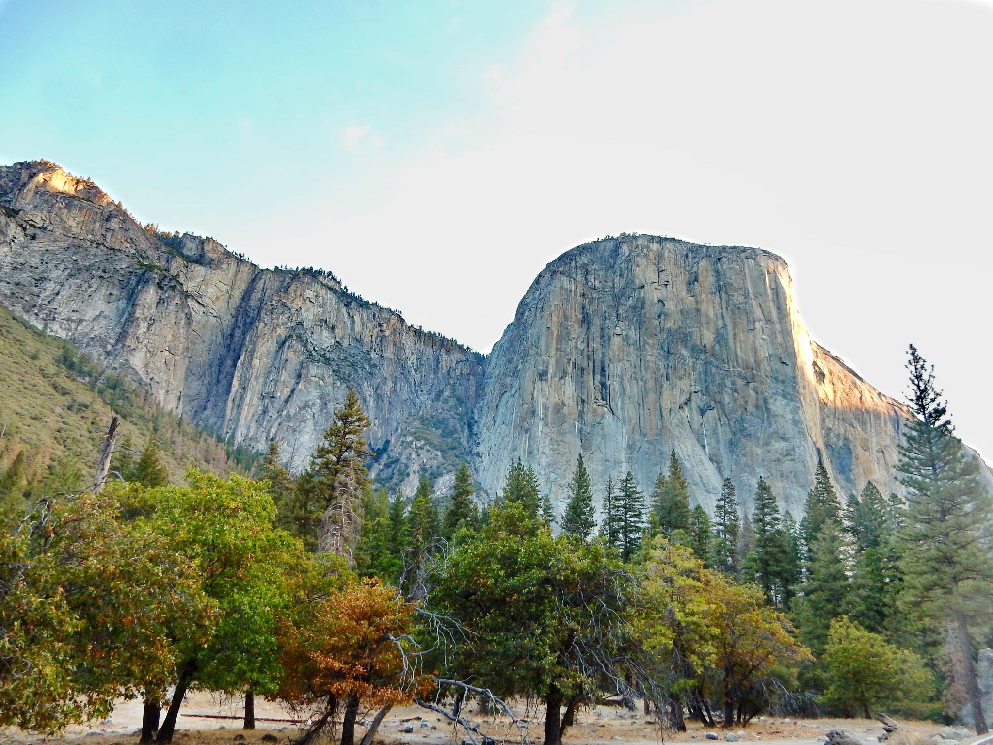 Towering granite cliffs rise above a forest of green and autumn trees.