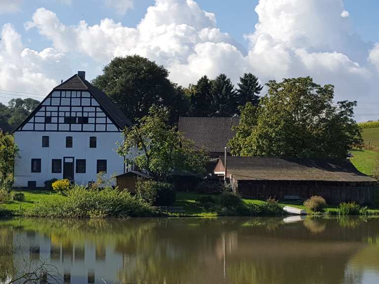 Gut Papendelle Wanderungen und Rundwege komoot
