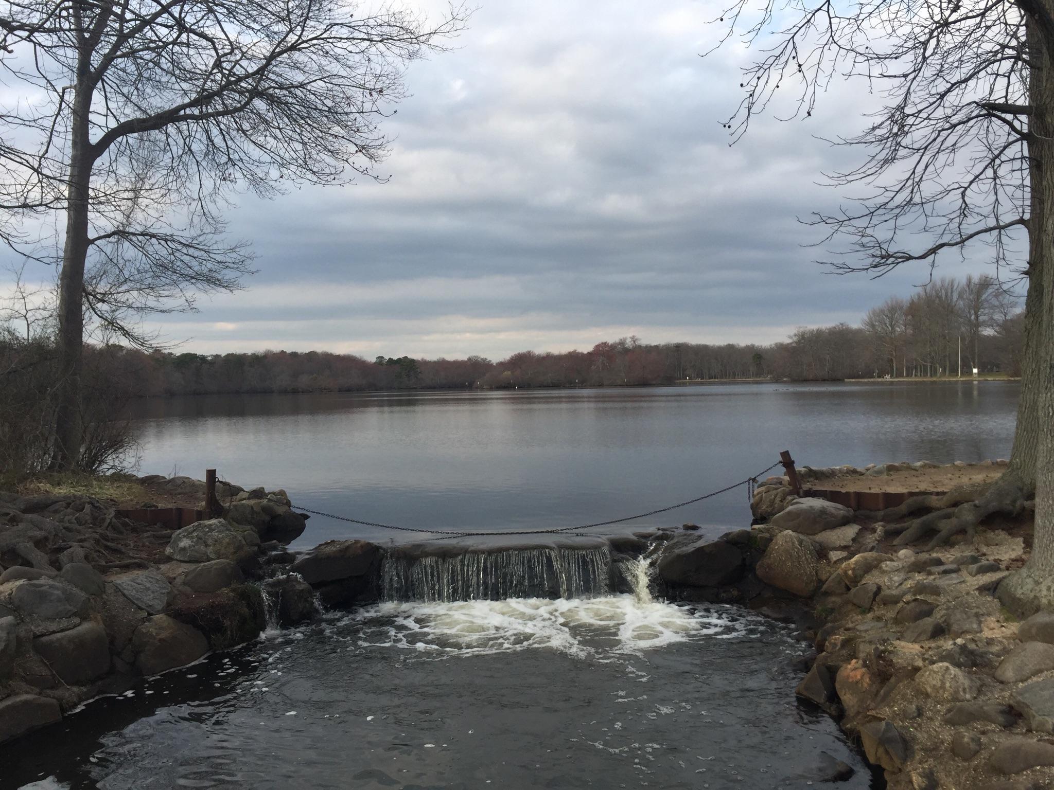 Overcast view of a lake with a small waterfall and bare trees.