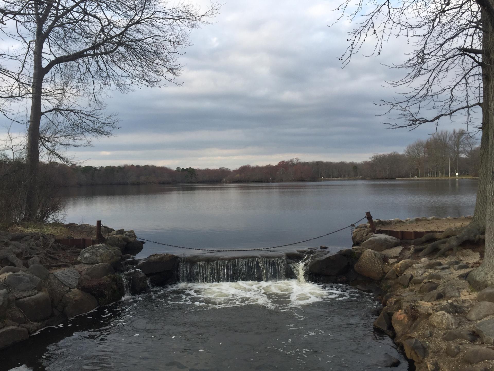 Overcast view of a lake with a small waterfall and bare trees.