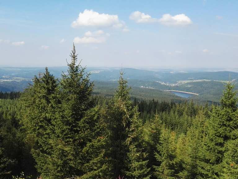 Auersberg mit Auersbergturm Wanderungen und Rundwege komoot