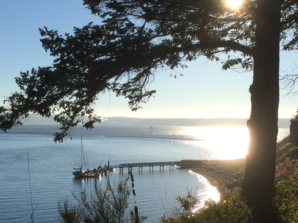 Pier with boats on sunny water, large tree in foreground, bright glare.