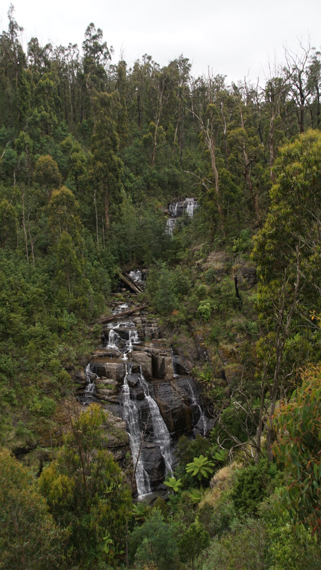 Masons Falls loop from Kinglake West | hike | Komoot