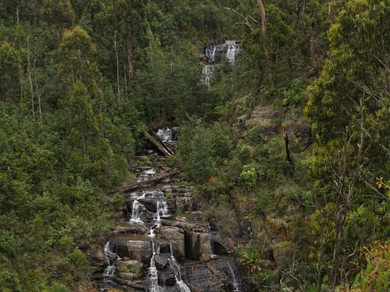 Masons Falls loop from Kinglake West | hike | Komoot
