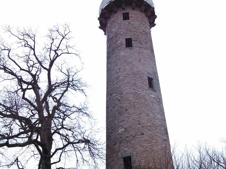 Buchberggrill Routes for Walking and Hiking | Komoot