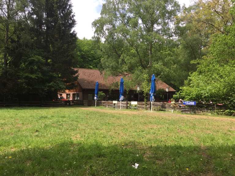 Kassel - Erlenloch im Habichtswald: Wanderungen und Rundwege | komoot