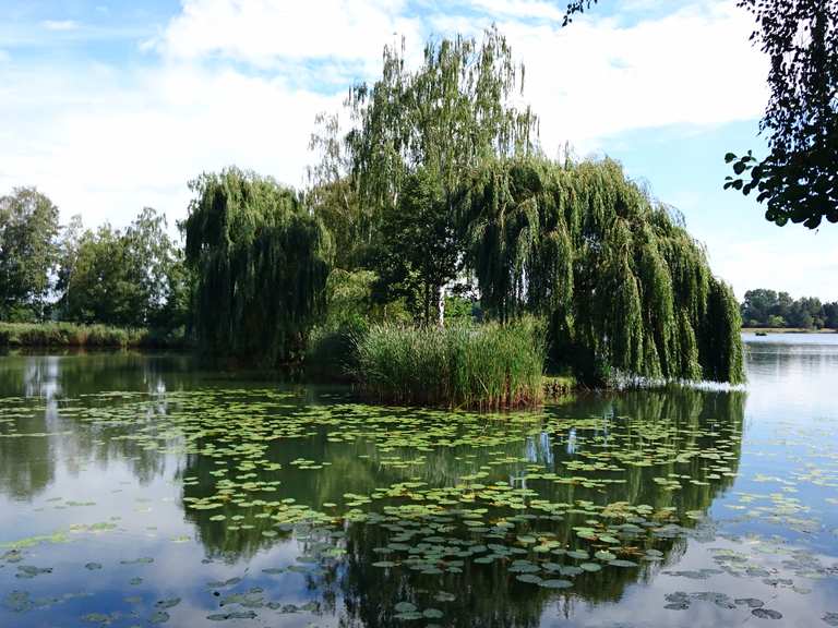 Kiebitzer See Falkenberg Routes for Walking and Hiking Komoot