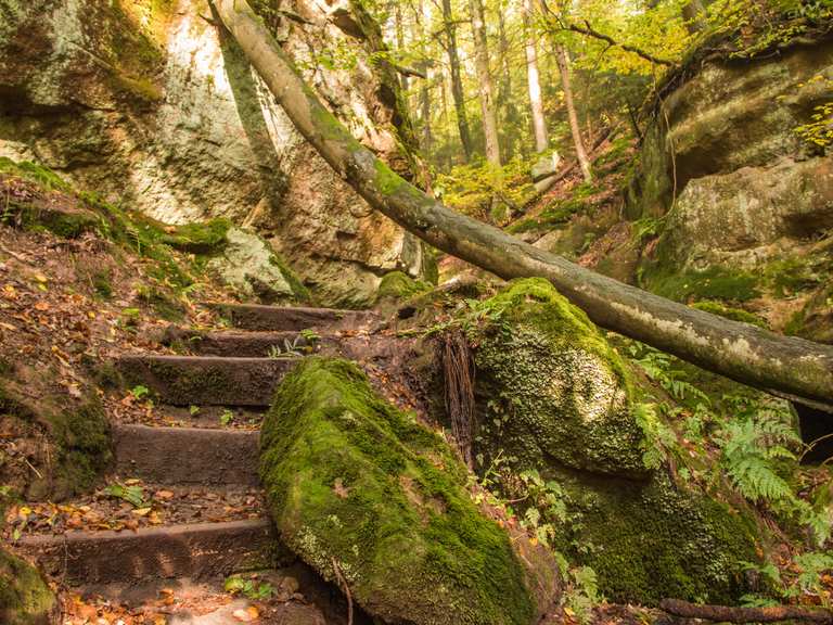 Massendorfer Schlucht: Wanderungen und Rundwege | komoot