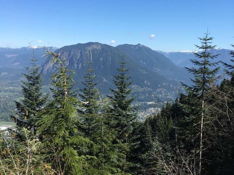 Rattlesnake Mountain a Grand Prospect North Bend, Washington Caminata Komoot
