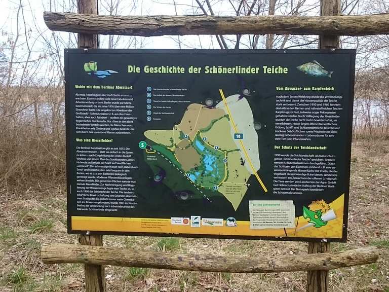 Löwenzahnpfad um das NSG Schönerlinder Teiche Itinéraires de rando et