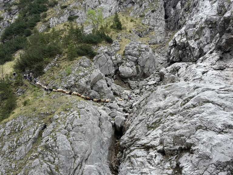 Höllentalklamm - Grainau, Garmisch-Partenkirchen ...