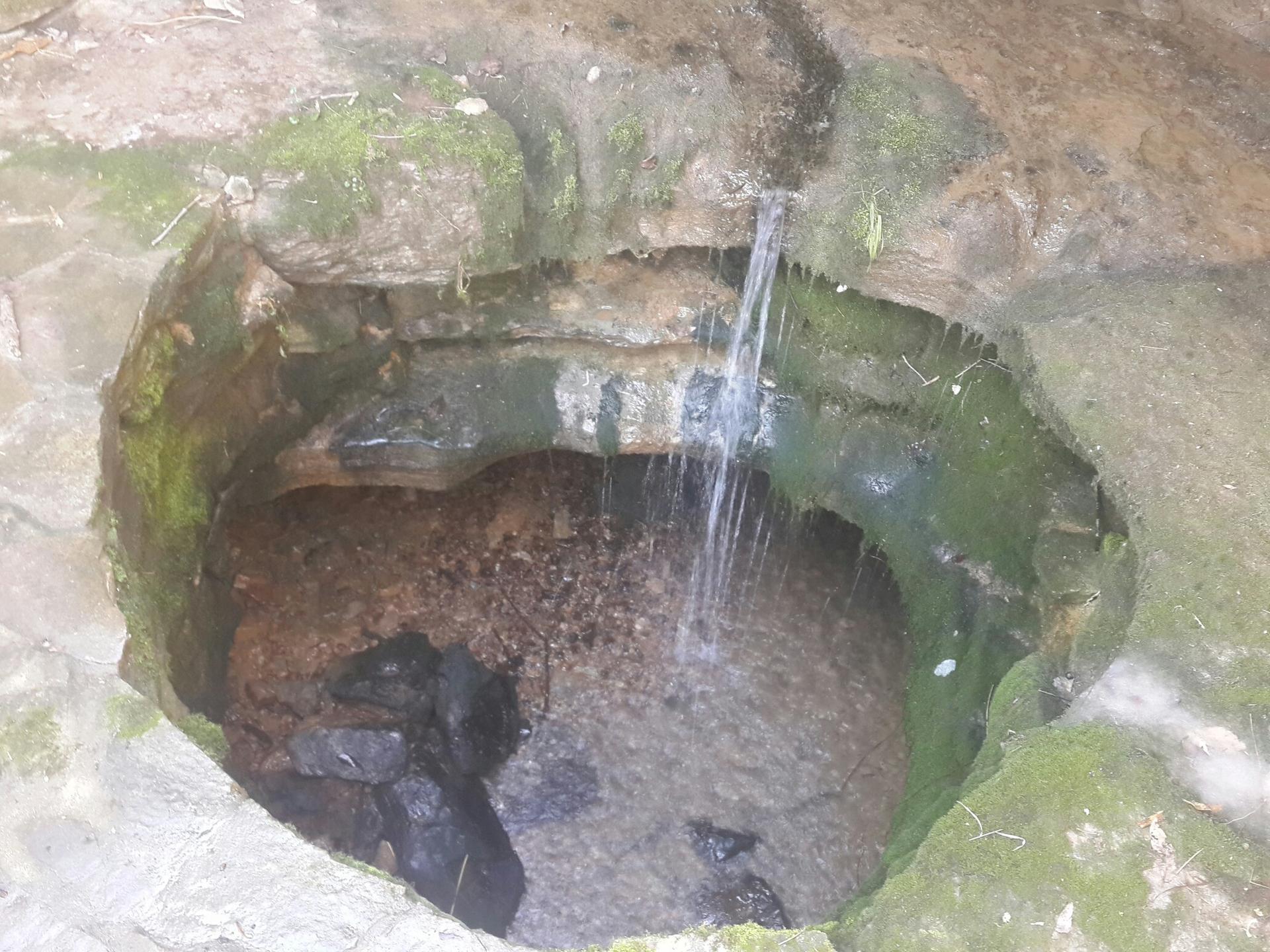 Small waterfall cascades into a moss-covered rocky basin under natural light.