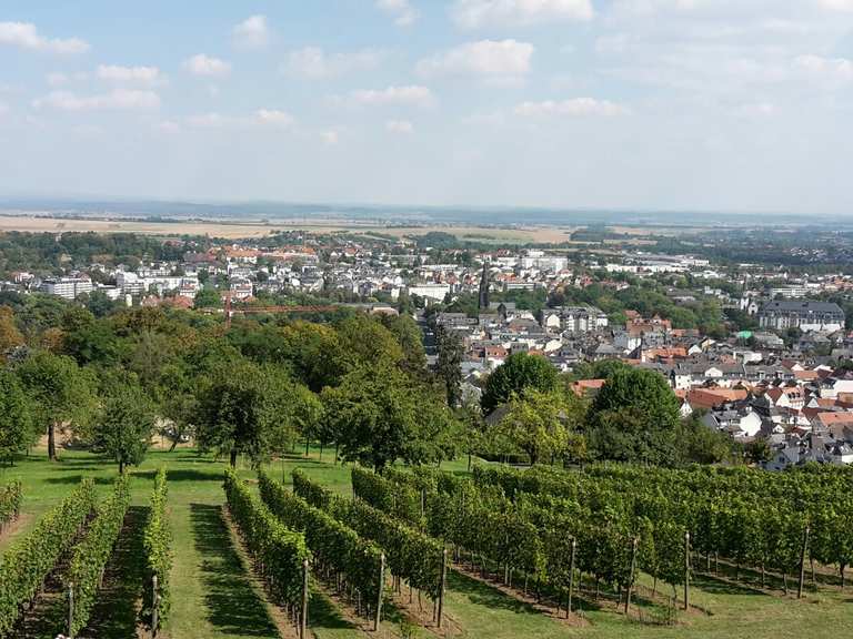 Panoramablick vom Johannisberg Wanderungen und Rundwege komoot