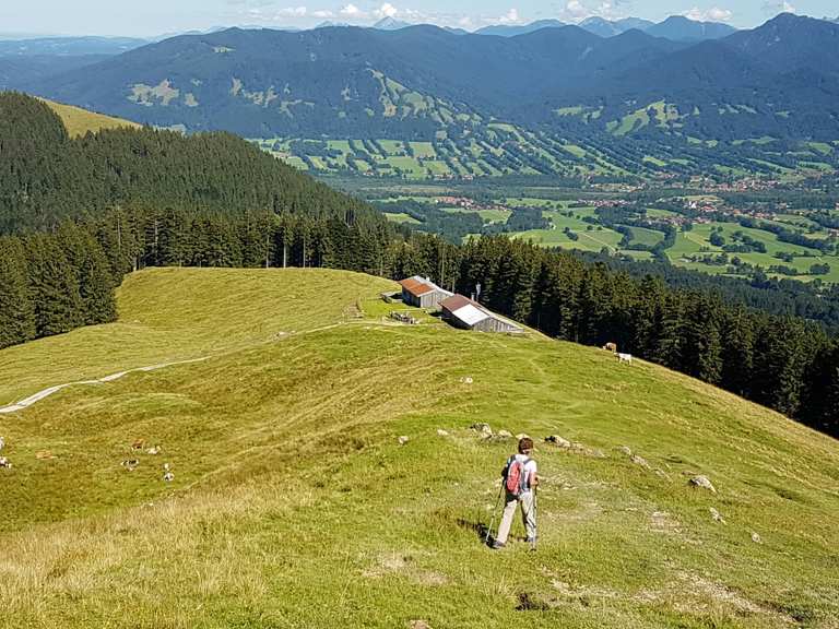 Zwiesel Gipfel Wanderungen und Rundwege komoot