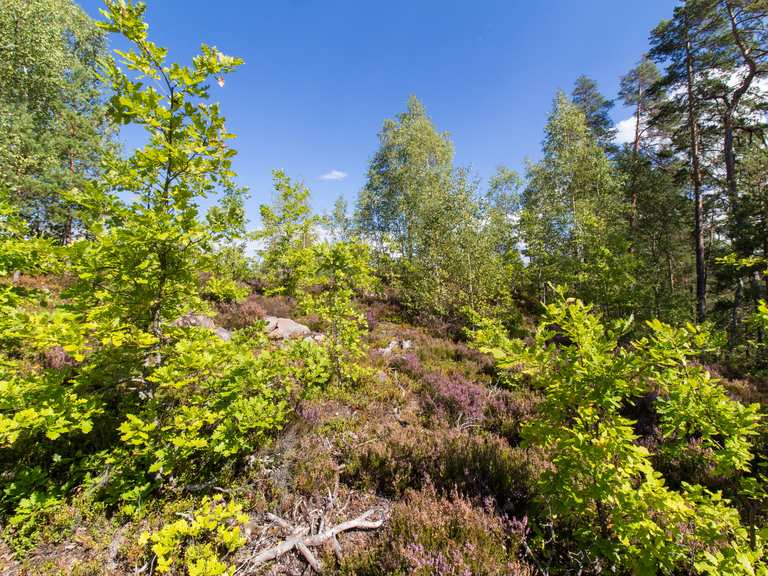 more-kastell-wanderungen-und-rundwege-komoot