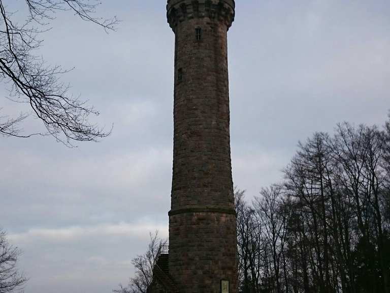 Humbergturm - Palatinate, Rhineland-Palatinate | Hiking Tips & Photos ...