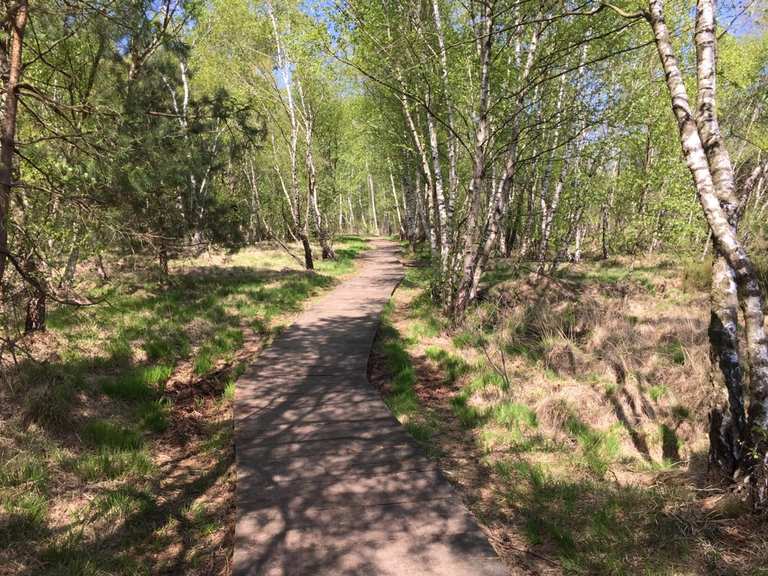 Venner Moor - Cycle Routes and Map | Komoot