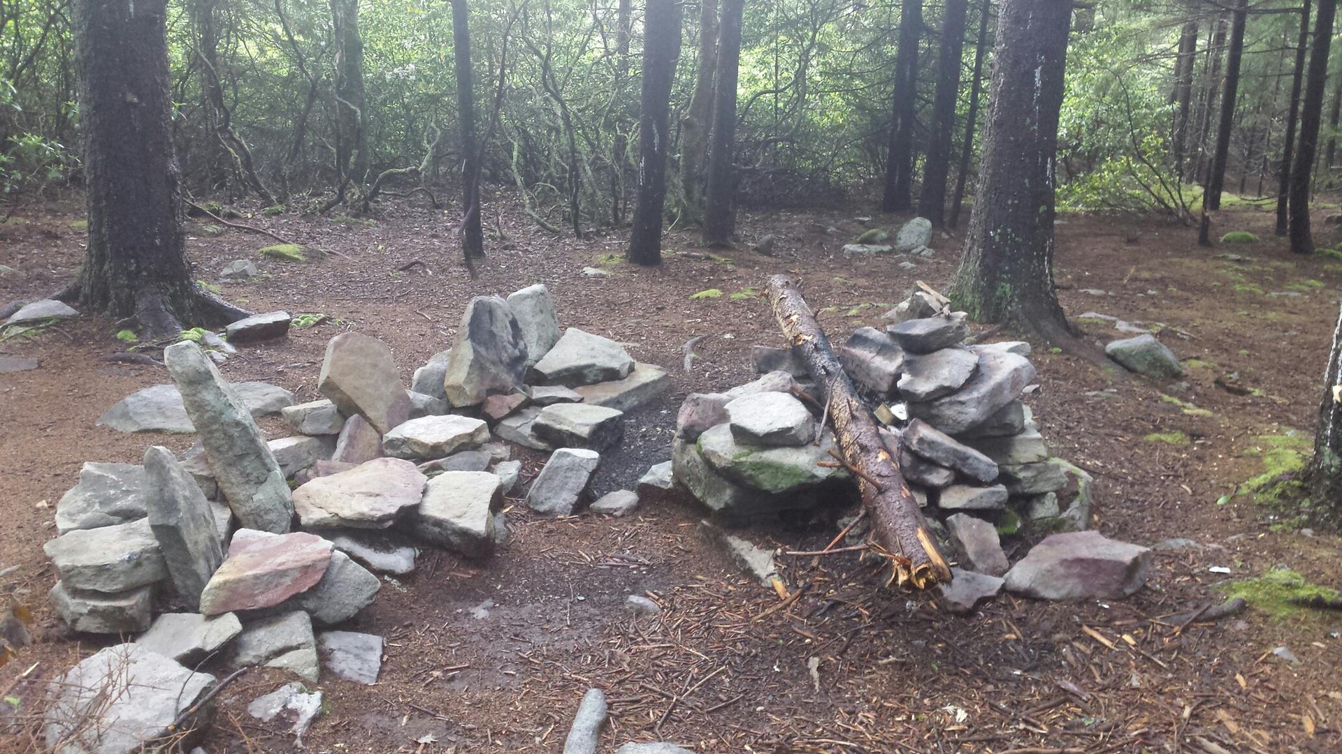 Two rock cairns and a fallen log on a forest floor among trees.