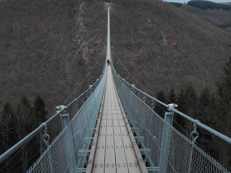 Hängeseilbrücke Geierlay - Routes for Walking and Hiking | Komoot