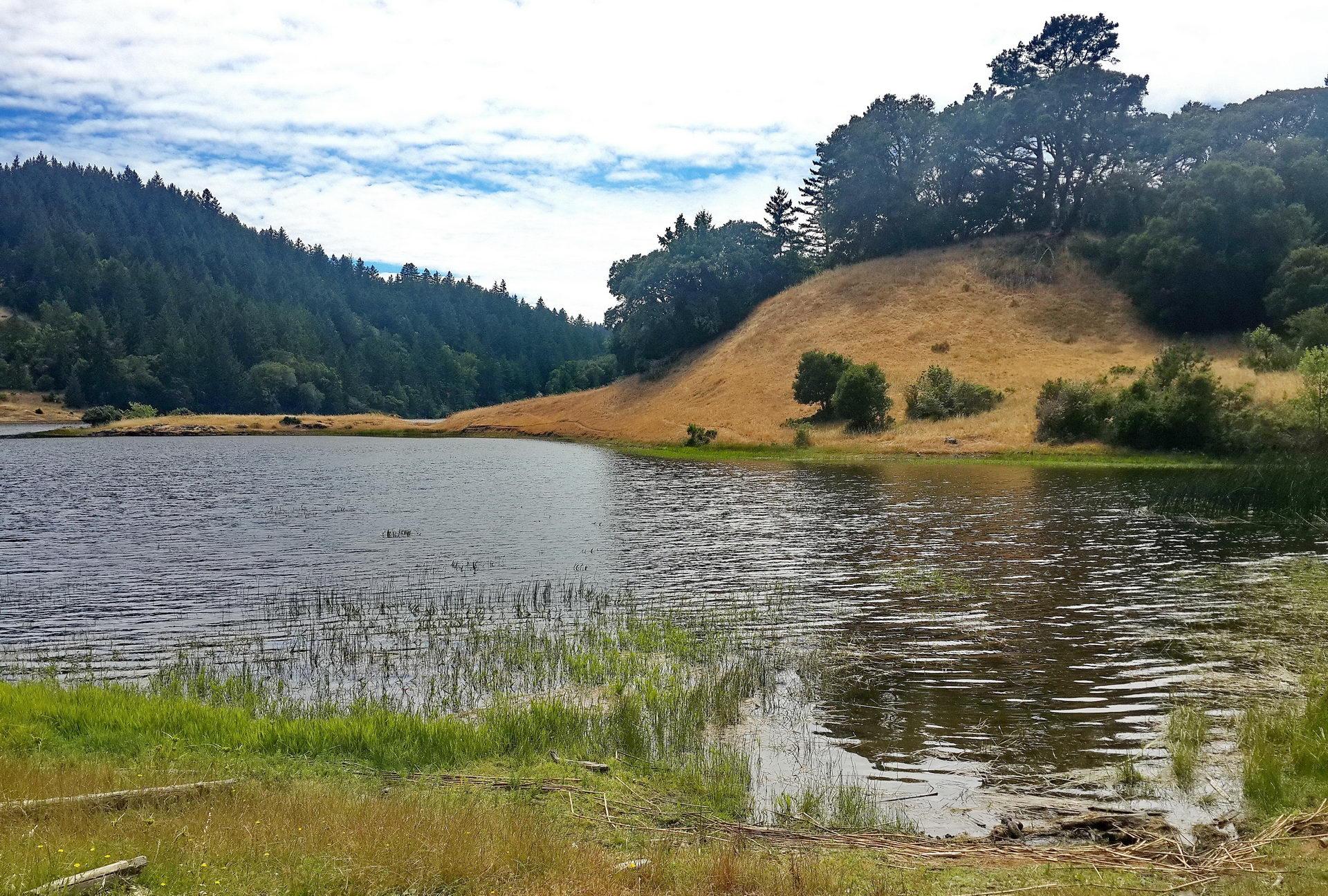 Lake with hills, trees, and dry grass under a partly cloudy sky.