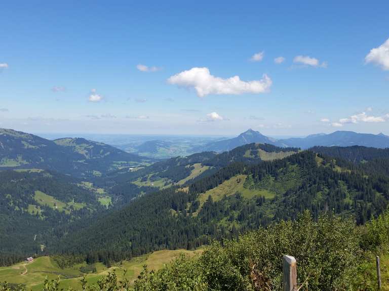 Riedberger Horn: Wanderungen und Rundwege | komoot